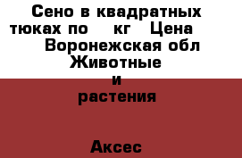 Сено в квадратных тюках по 20 кг › Цена ­ 200 - Воронежская обл. Животные и растения » Аксесcуары и товары для животных   . Воронежская обл.